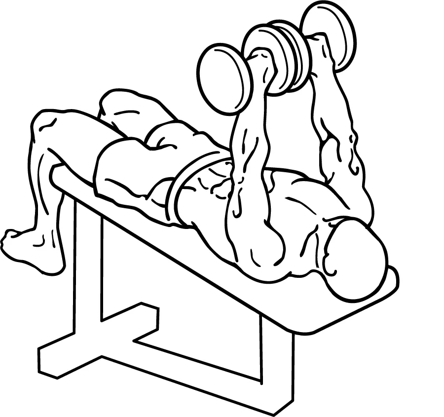 decline dumbbell press form