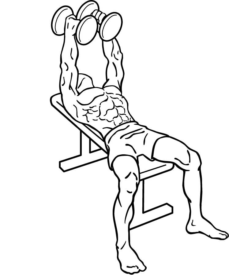 how to do dumbbell flys