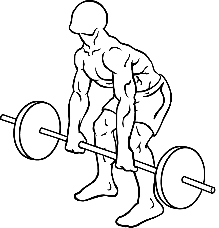 how to perform a single-arm dumbbell row