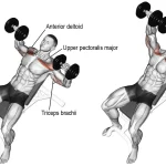 how to do an incline dumbbell press