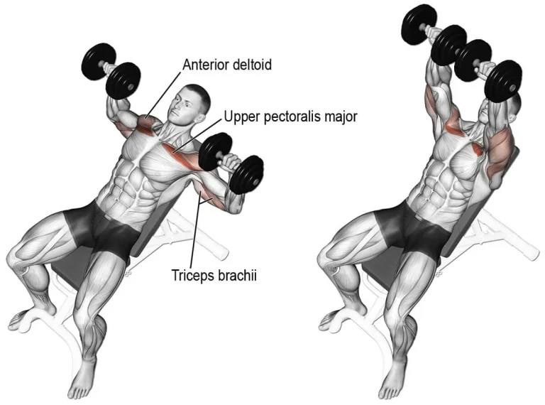 how to do an incline dumbbell press