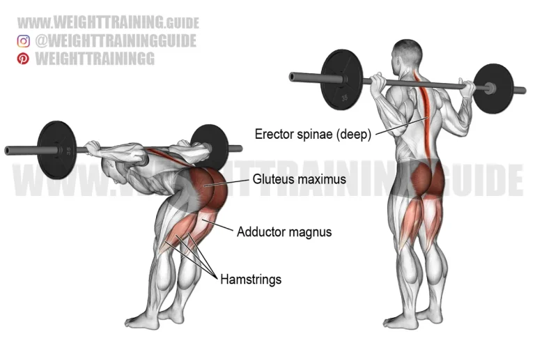 how to do good mornings with dumbbells