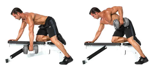 what muscles does dumbbell row work